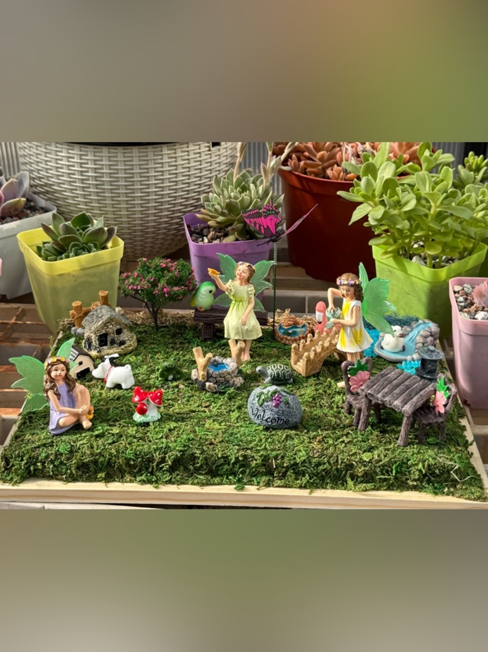 Custom made complete Fairy Garden w/base,fairies & 2 scenes. Glow-in-dark
